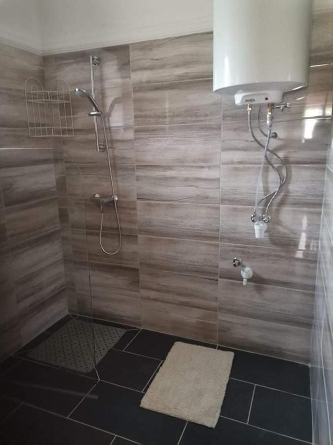 Pazsit-To Vendeghaz Apartment Bekesszentandras Ngoại thất bức ảnh