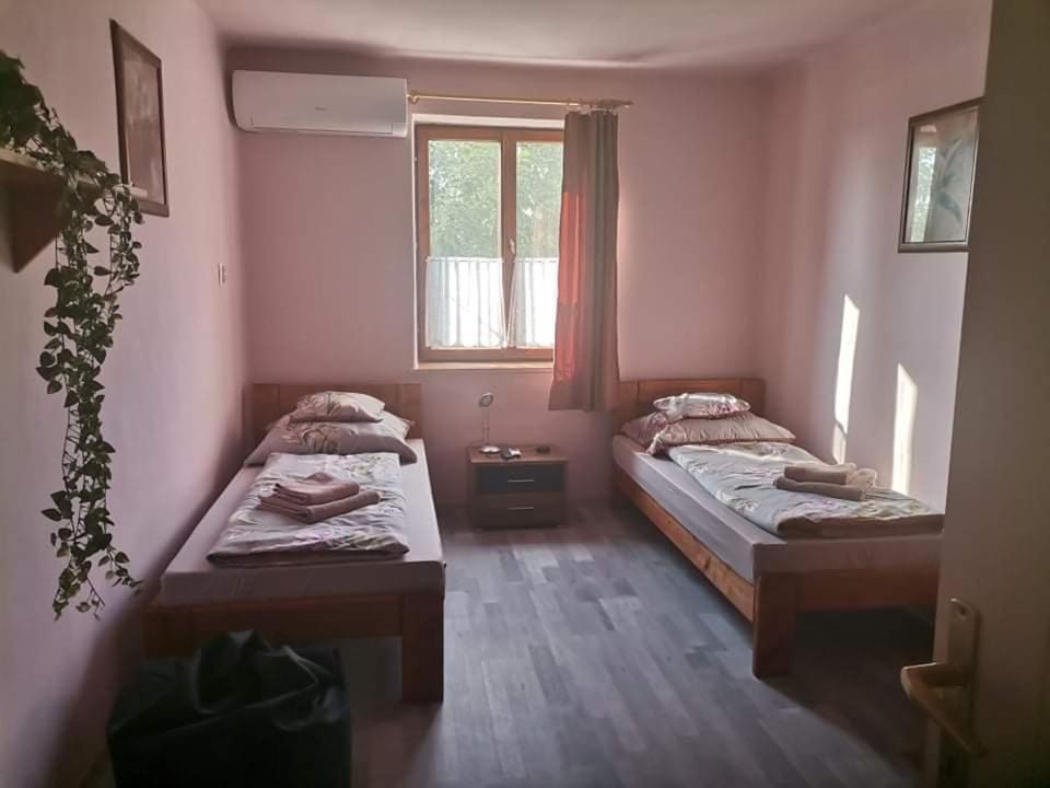 Pazsit-To Vendeghaz Apartment Bekesszentandras Ngoại thất bức ảnh